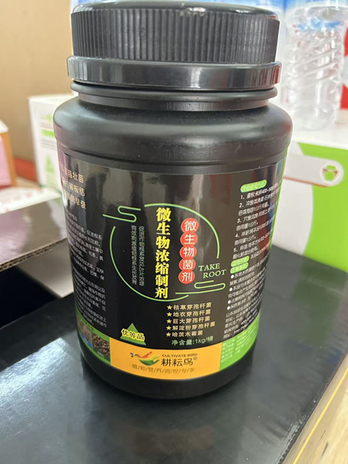 ������-΢�������